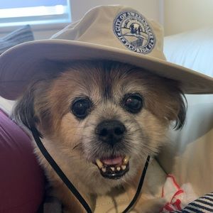 Meet your Posher, Javier